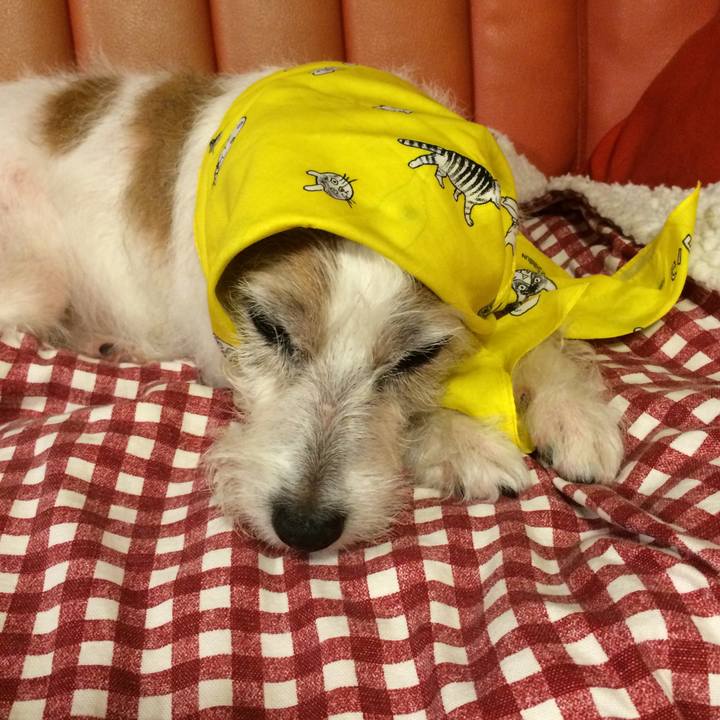 102fad48 957e 472a b5c7 4128ff024b63 1521627799419