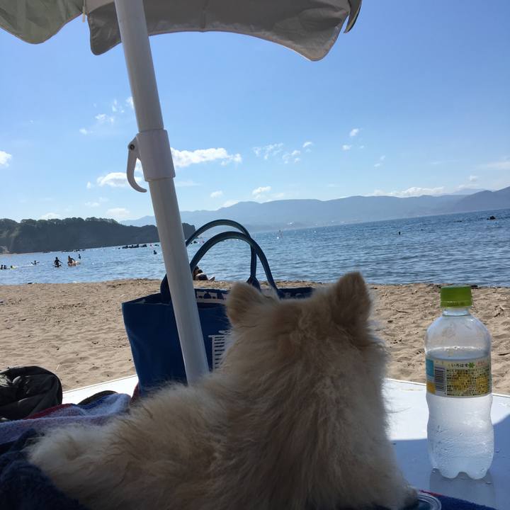 102fde30 9f2a 47e3 9eb3 40ee91b522ea 1533126056090