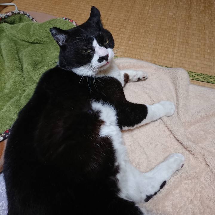 10300a87 c22a 4f1f a717 11768f48bdd0 1611566601451