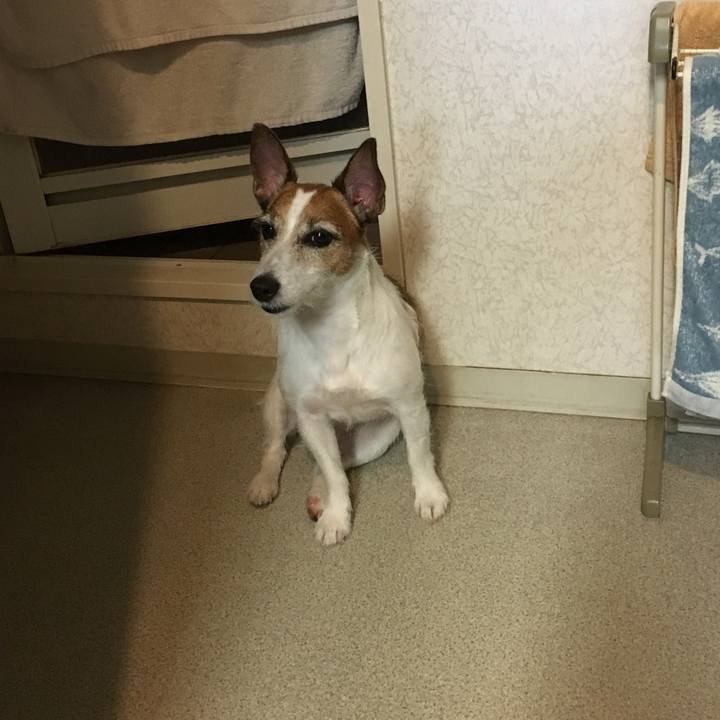 10300e73 c8da 4283 8e20 7ec3832e523a 1565396386505