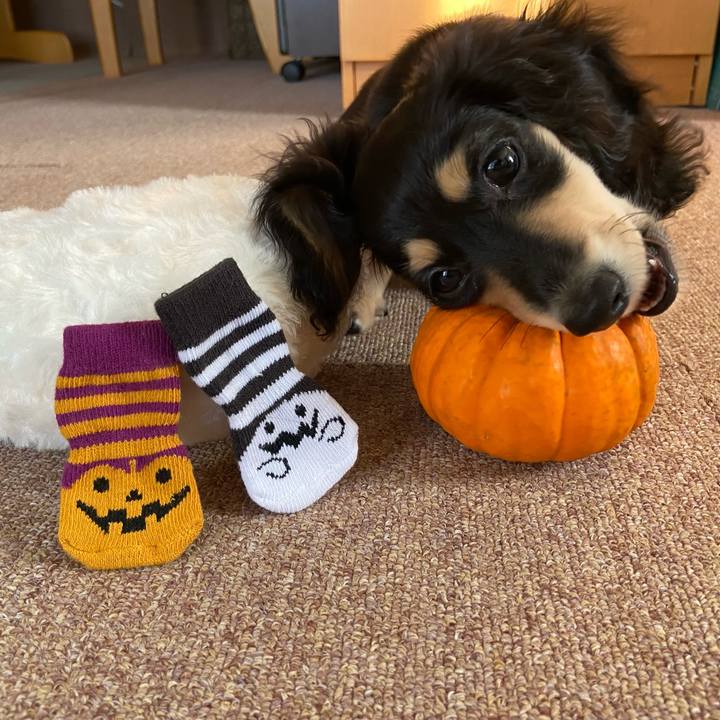 1030342a a9ca 4fc7 a5fb 68a6f232a1d7 1666996122639