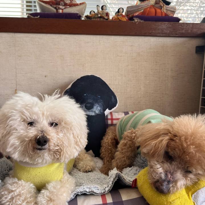 10309c97 c48f 4eda 87ae e6a80e9387bd 1772526167674