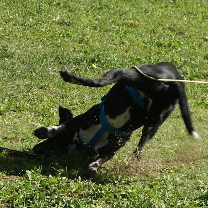 1030d375 5aeb 4332 ad82 98556665c4e3 1619569970493