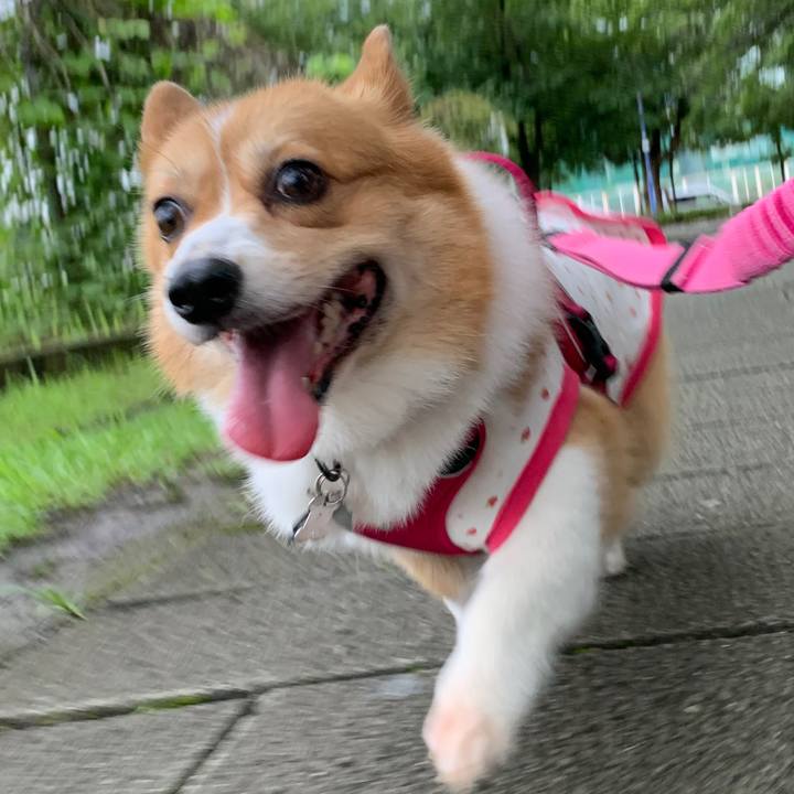 1030fa8a c02f 4662 9897 4d2c12b8401a 1595884645330