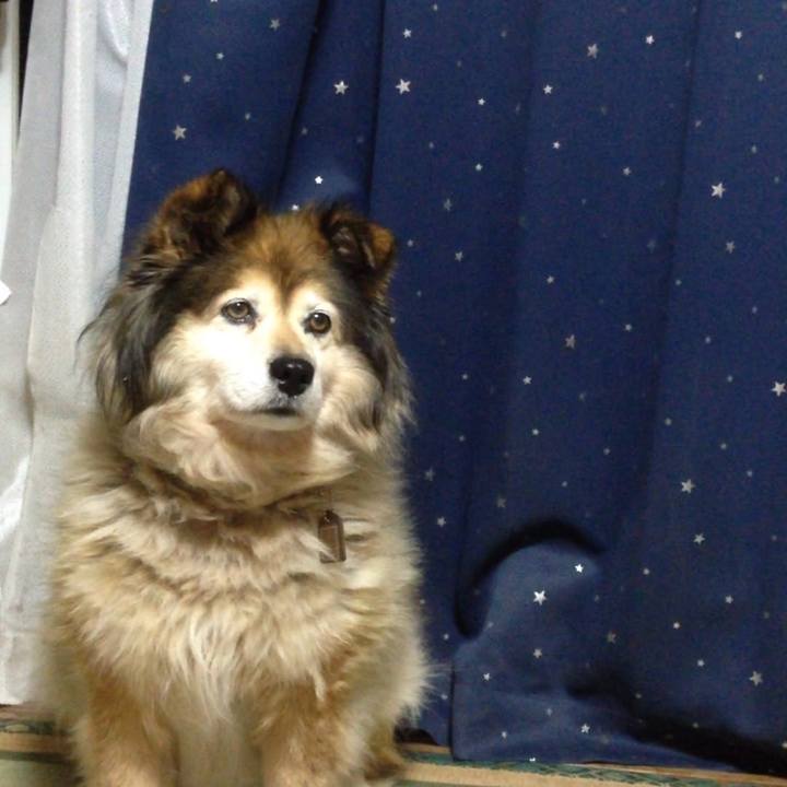 10310568 e584 4ffc 94ce f21b55296ba5 1560415689268