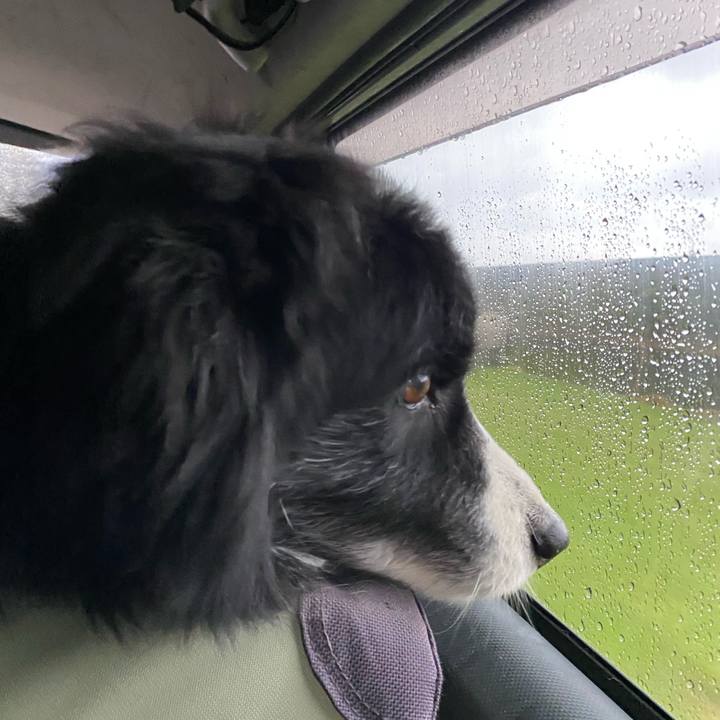 10310963 dfeb 4c76 89cc 1bd49b7d5c83 1679695325519