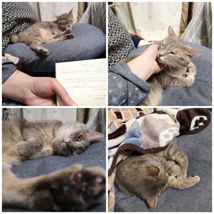 10311076 1739 4020 91c4 fb67b3cdb14f 1587899131998