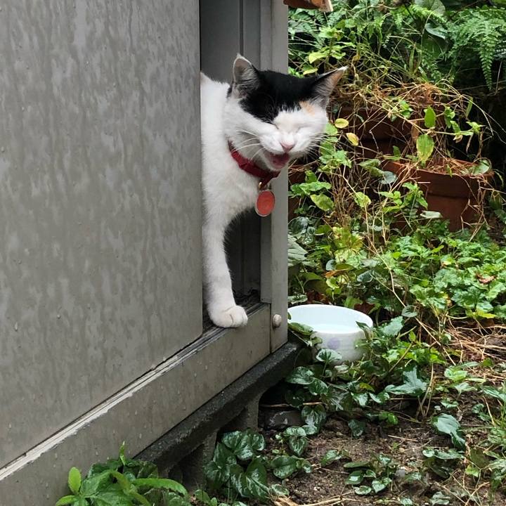 10312309 180d 4fd2 a2cf a739d394f3d2 1634376194803