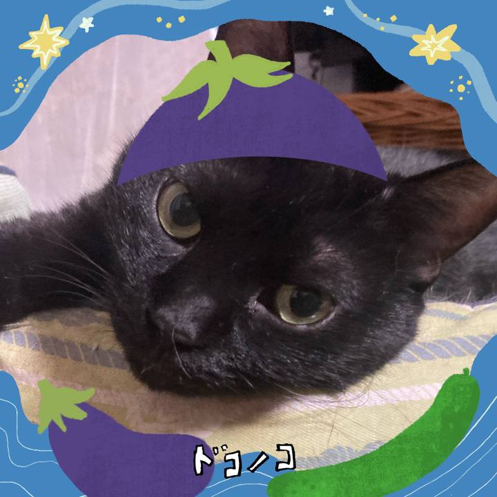 10317bb2 7687 45b4 b167 b484bc061be0 1755504271455