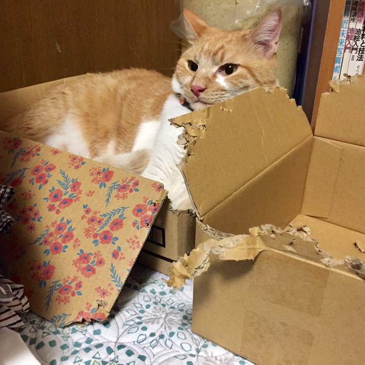 10317f34 2a3b 4251 910b 2bec45bd585b 1632398312416