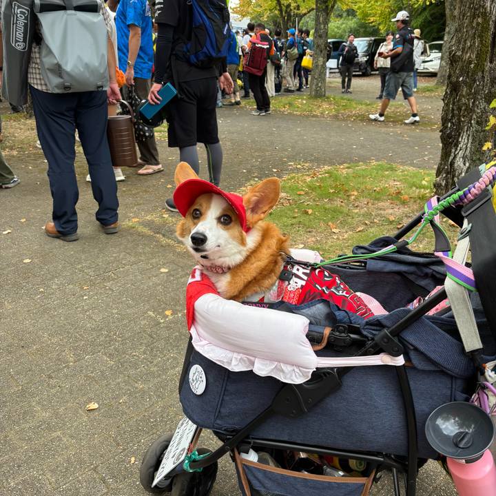 1031d3a5 6a9b 4508 9765 d1ef167eb56e 1759013655493