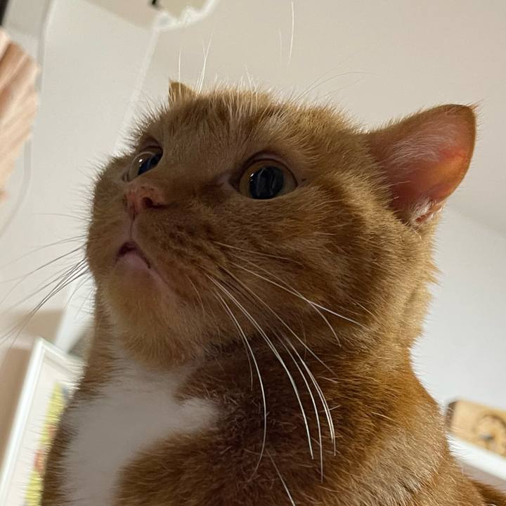 1031d7cb 81dc 47d0 893b 532033772413 1654348898227