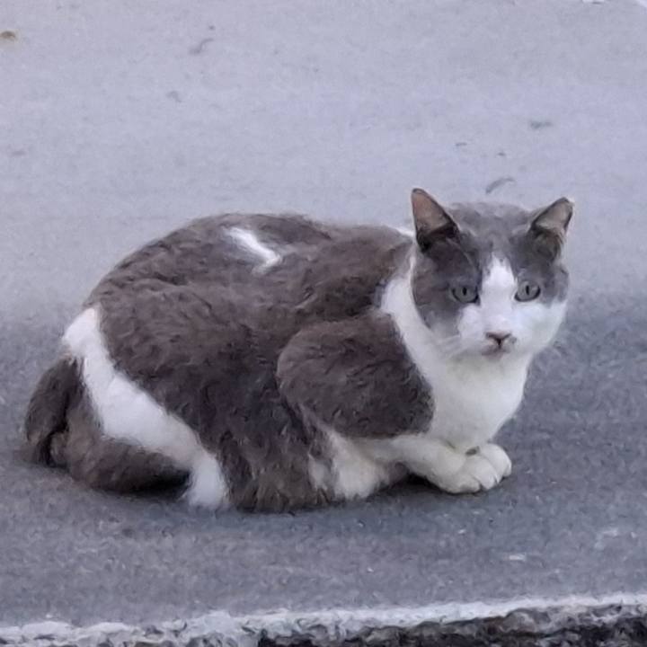 1031e161 f754 4994 8a34 22425cbc4daf 1743428782425