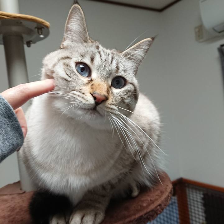 1031e8e0 e08d 4dd9 9c96 132e417ccb26 1544949672741