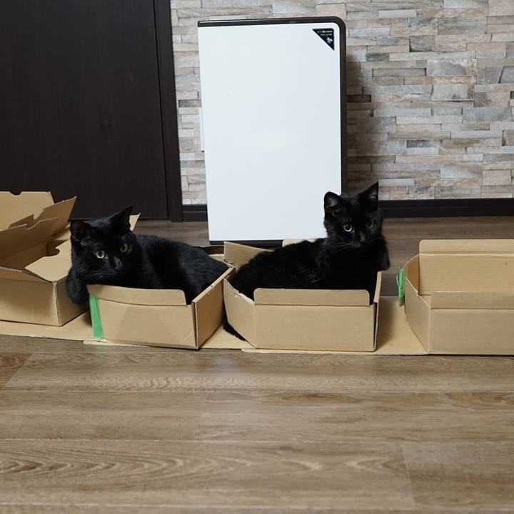 103274eb c2b4 48c2 b3d4 ad9aa83d5ef9 1564413704215