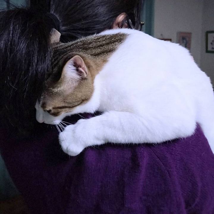 1032d42e f648 471c a188 253794631696 1735718262033