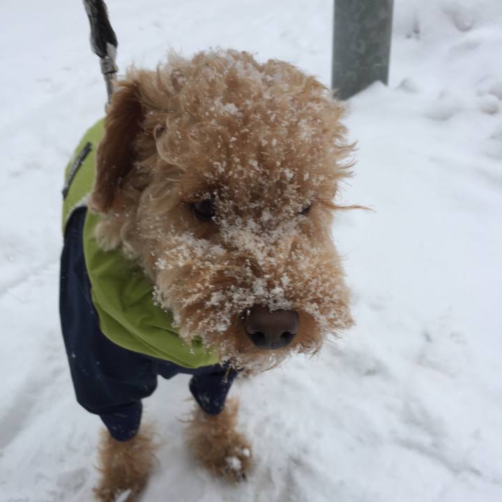 1033045a ffe0 410d a363 80e97fea37c6 1518827847370