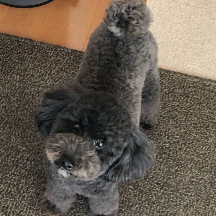 10330bcb 6cc4 49bf b076 7bdda2f27875 1582704757894