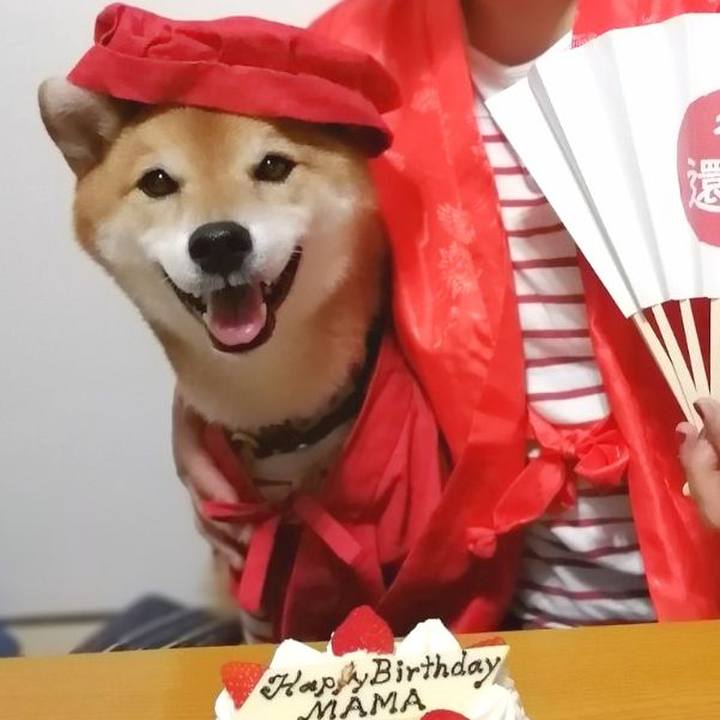 10332233 bd3d 4f96 9c71 b2316fc75e06 1663675180857