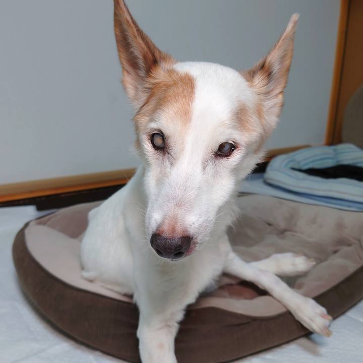 10334272 5bd0 4438 bb4b c4076a3dcccd 1760189320152