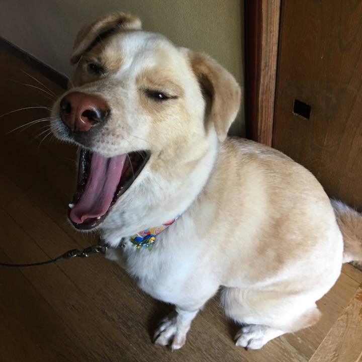 103367c3 29c9 49e6 a085 c6fc35dd2049 1525006555439