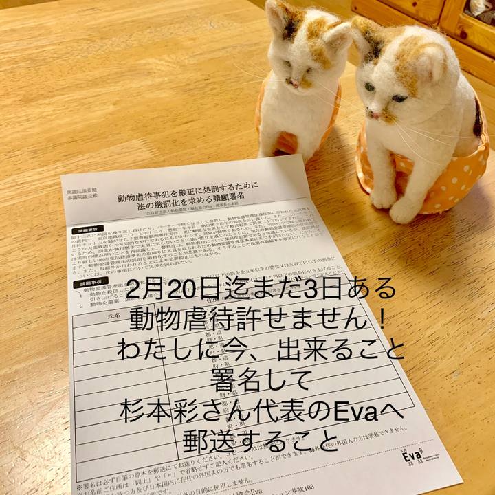 1033a0d6 3c32 4efc 9674 01552dfa3f7d 1550372475713