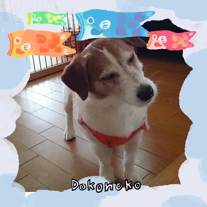 1033a498 d586 4649 99c8 759a6fcb9e66 1749539355601