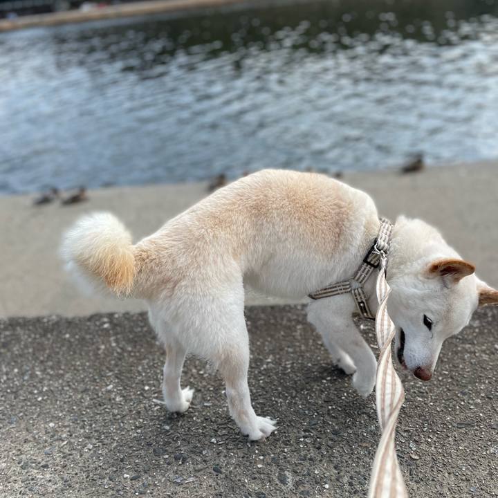 10341759 1d86 4885 a304 f3652f13be3b 1647254237988