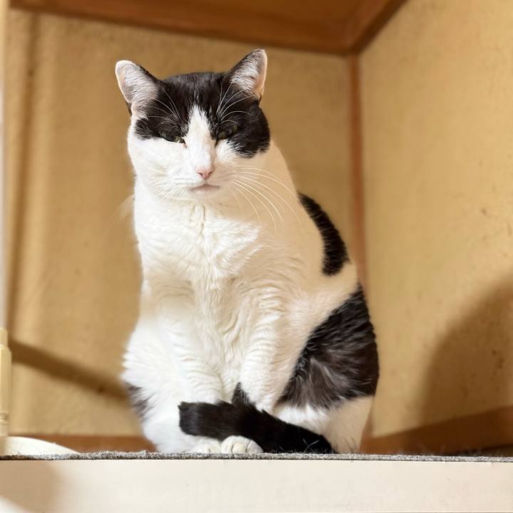 1034490f 3dbc 47cb a2cc f866b3191e8d 1772675765784