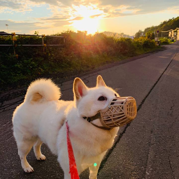 10344c87 b9cd 4de4 966b 9ac588d112b1 1600552176757