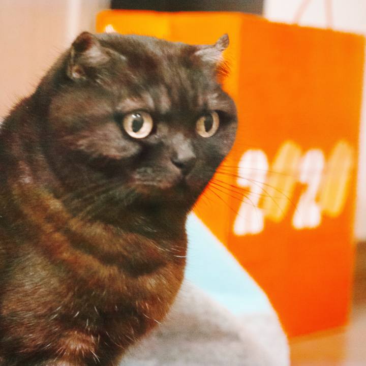 10345495 3c58 4786 80e0 d7db2080187a 1587812236410