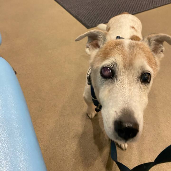 10346509 616f 4400 b404 a892c0c436d7 1669977553264