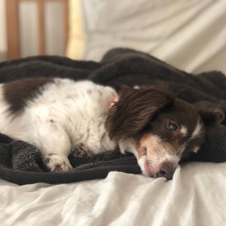 10347b2d fe46 4397 b925 5f781e60c232 1590819760594