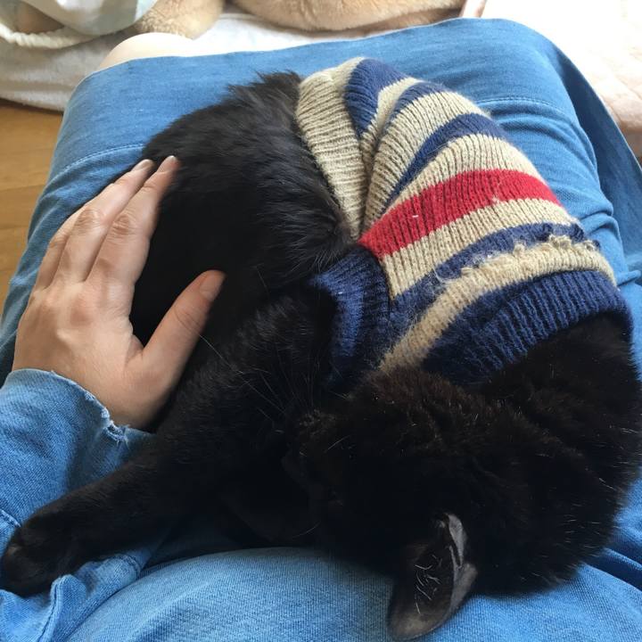 10349c75 0104 4552 af60 e98cfe0f5663 1549672646940