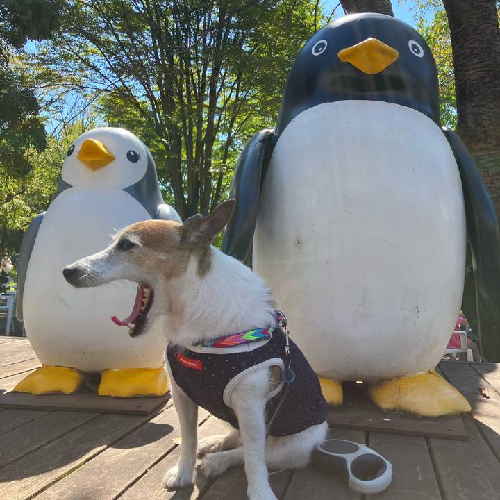 1034cabb 6fd5 403b aa80 214ec5fcf6f1 1664927307609