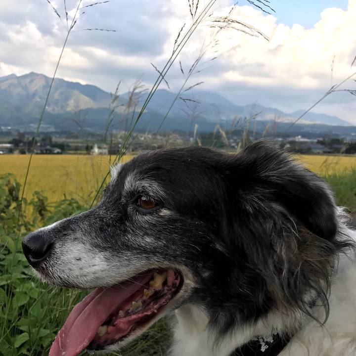 1034ebae 81ee 4342 b639 3d818b8d402d 1539093747270