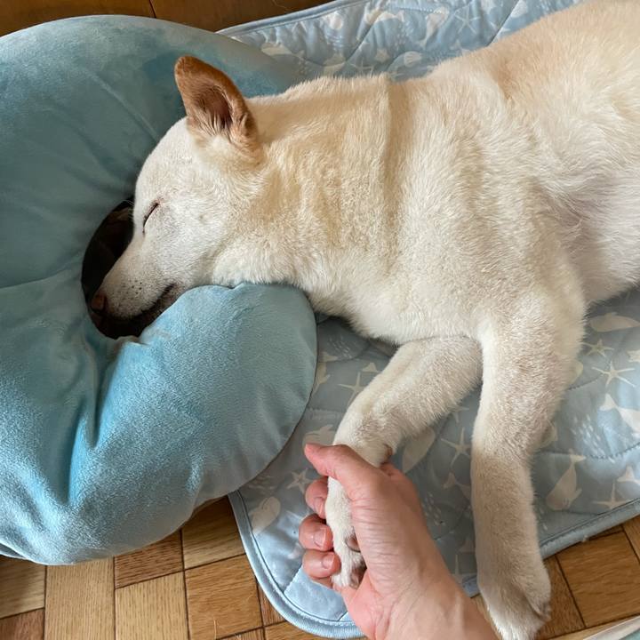 1034fad6 5cd9 40d2 ab1a 0837a929c446 1633992592325