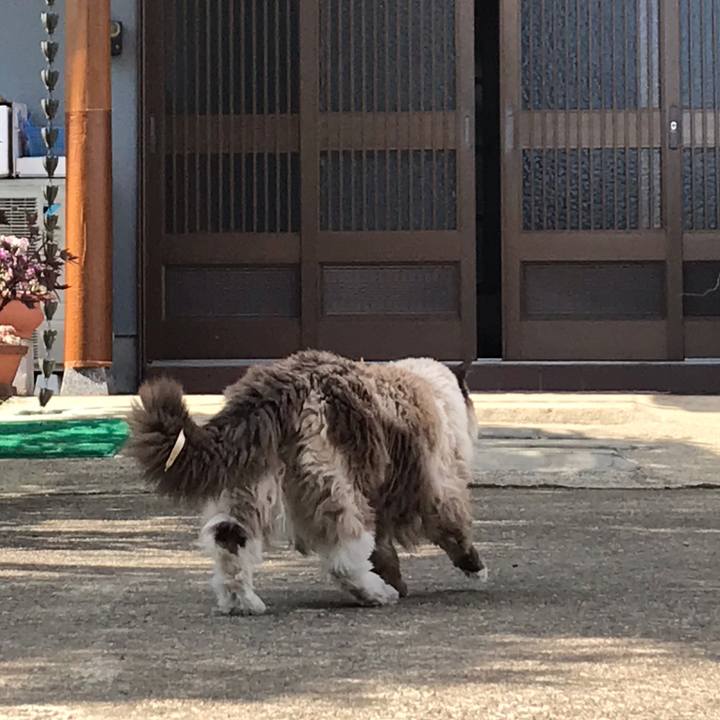 10354792 5e68 4bd1 9395 e5c074600951 1586583971372