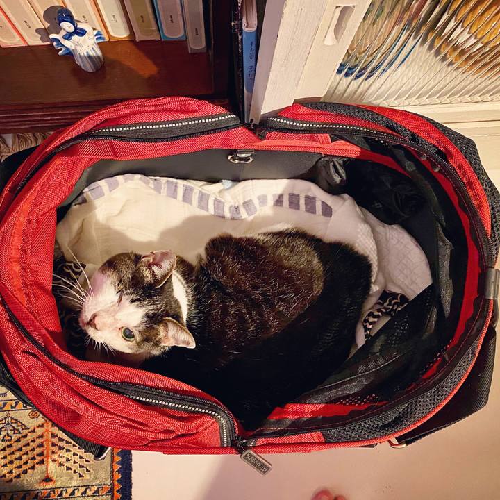 103547a7 3ed5 4c42 bd55 3503bea757d2 1590238130707