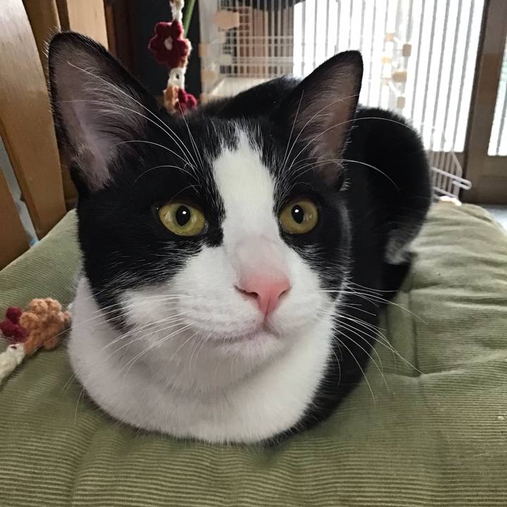 10356b9e 1292 4660 b5e6 f4f73c54eae9 1637213993845