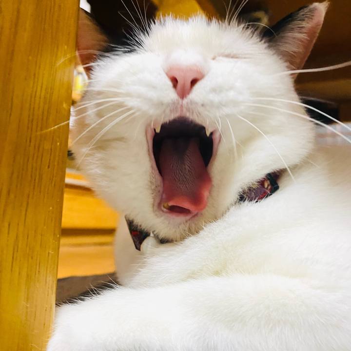 10357871 9653 4053 b9f5 8d1608f4f2d6 1686317420649