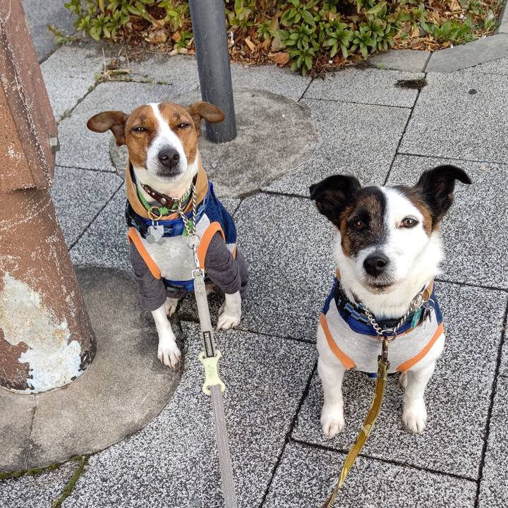 1035b5e6 bf6a 4d0f 940f 9e1ec9f68c1e 1646781230751