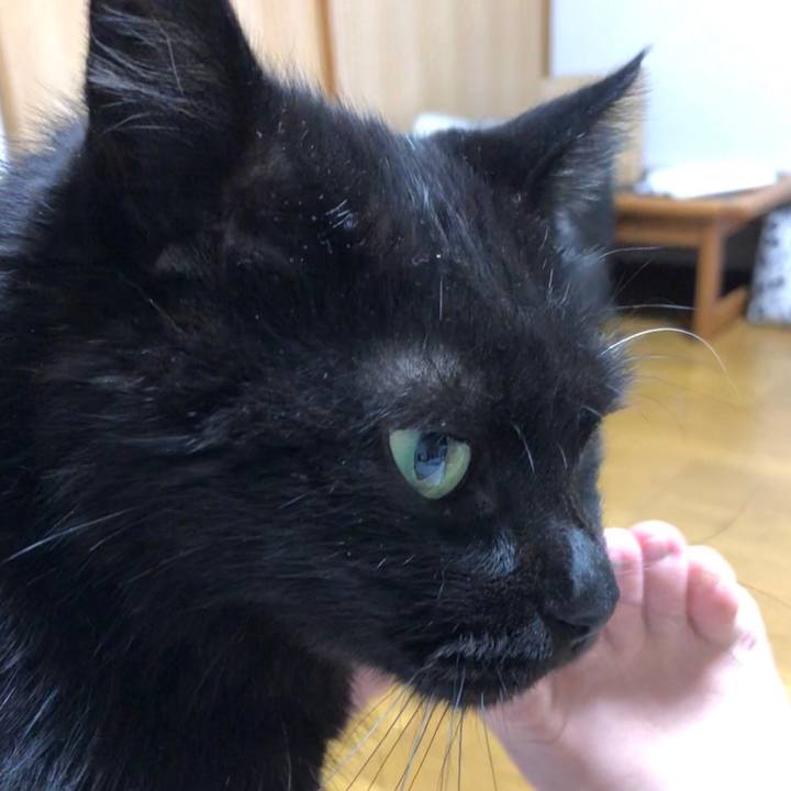 1035c1d0 51f9 4b13 a446 efb2d2e987c8 1600864389713