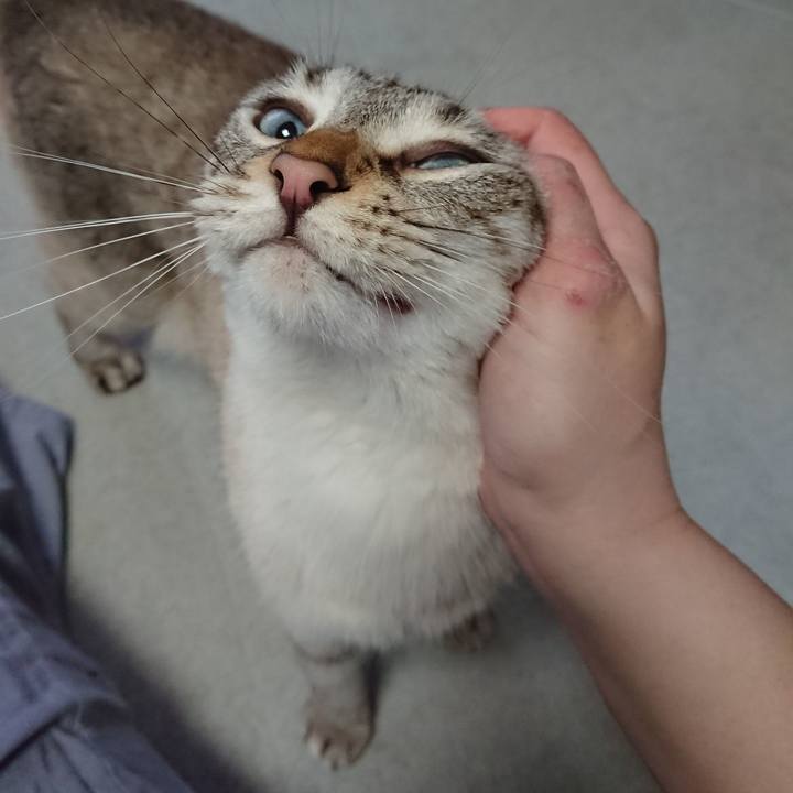 1035c5cf 9aea 40f0 b0ab 45ad93016271 1592123554182