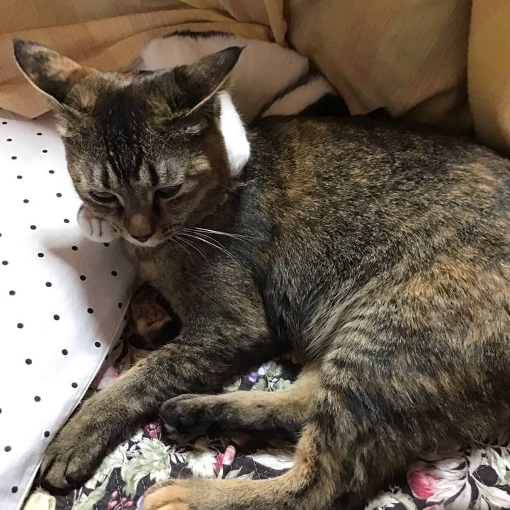 1035d16a 967c 48d8 bc3e 534c6a0a6ac2 1640328800080