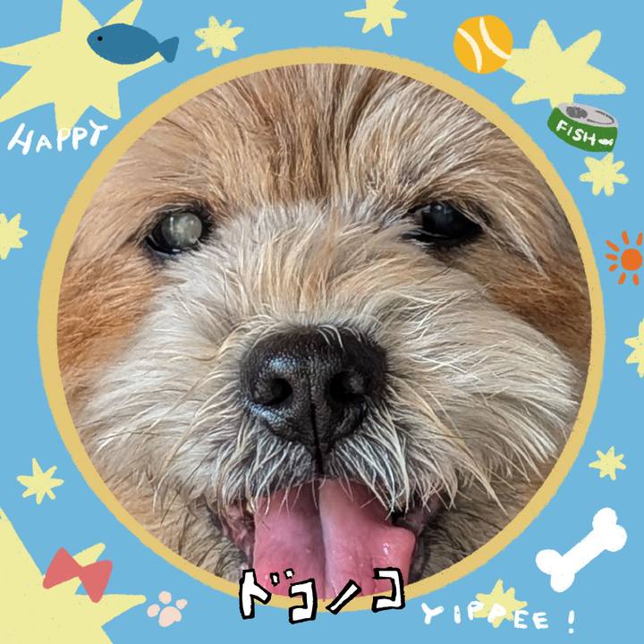 10360381 ff51 44a9 afe0 56a8c7816b62 1720876423939