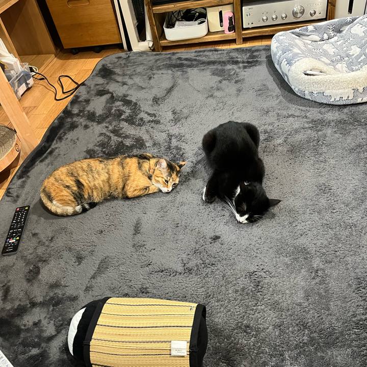 1036042d d1d2 414d 8ea5 8a5278eee432 1674433451338