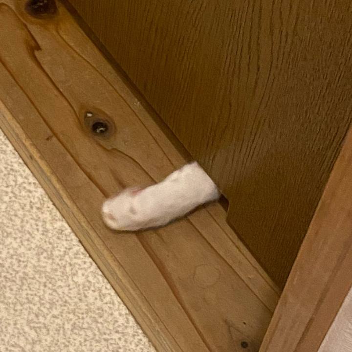 10361f0e 3e56 415d 964f 0f5e0e154ae5 1651408013267