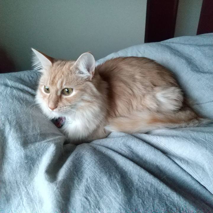 10362e2c 9ac7 456f be38 6ed4968ce97e 1644362604572