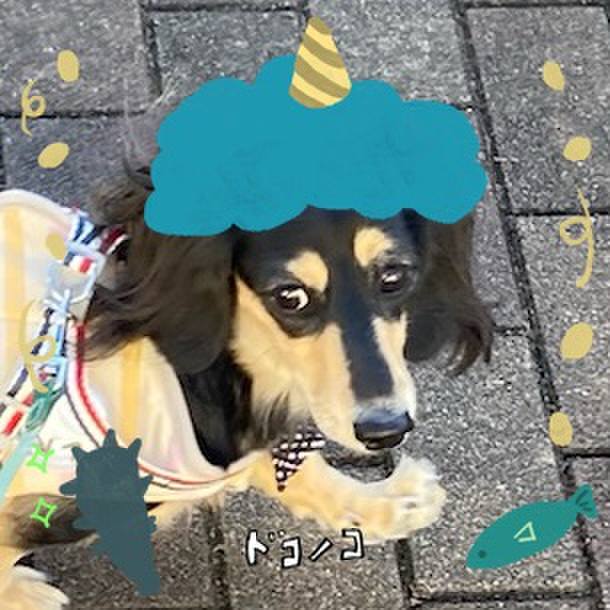 10362f69 f860 4cbb 94e7 8f9eb0d10a5e 1706763187650